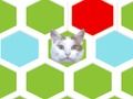 游戏陷阱猫 在线