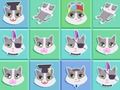 游戏猫的故事2048 在线