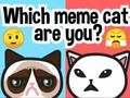 游戏你是哪种迷因猫？在线