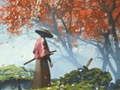 游戏武士反射 在线