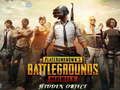 游戏PlayerUnknown's Battlegrounds Mobile 隐藏对象 在线