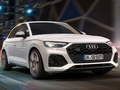 游戏奥迪 SQ5 TDI 滑轨 在线