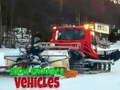 游戏雪地美容车 在线