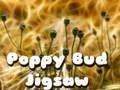 游戏罂粟花蕾拼图 在线