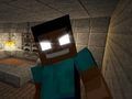 游戏菜鸟：在 Herobrine's 住了 5 晚 在线