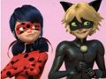 游戏Miraculous Ladybug & Cat Noir 拼图 在线