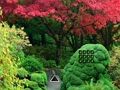 游戏枫叶花园逃脱 在线