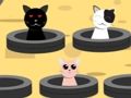 游戏抓猫 在线