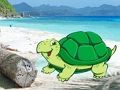 游戏海滩螃蟹双人逃脱 在线