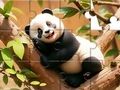 游戏拼图游戏：树上的熊猫 在线