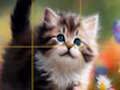 游戏拼图滑动小猫 在线