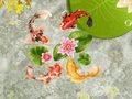 游戏锦鲤池在线