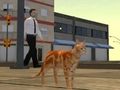 游戏猫城模拟器 在线