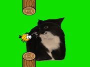游戏Flappy鸟旋转OIA OIA CAT 在线