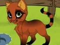 游戏My Kitten在线