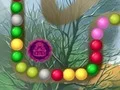 游戏Lost Island在线