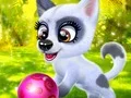 游戏Happy Dog在线
