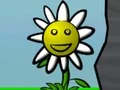 游戏Flower Power在线