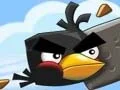 游戏Crazy Birds在线