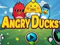游戏Angry Ducks在线