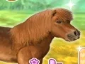 游戏My Dear Pony在线