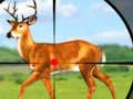 游戏Wild Hunt Hunting Games 3D在线