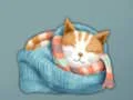 游戏Adorable Escape Find Cute Kitten在线