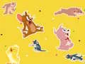 游戏The Tom and Jerry Show Find it!在线