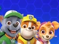 游戏Paw Patrol在线