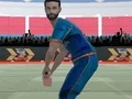 游戏Cricket Powerplay在线