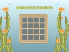 游戏Card Match Serenity在线