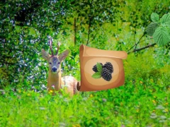 游戏Return To Alsunga Forest在线