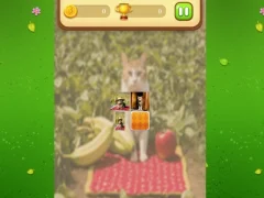 游戏Farm Cat Memory Match在线