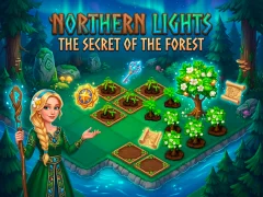 游戏Northern Lights - The Secret Of The Forest在线