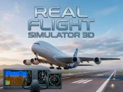 游戏Real Flight Simulator 3D在线