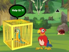 游戏Release Trapped Macaw Buddy在线