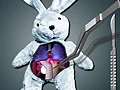游戏Save The Bunny在线