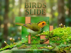 游戏Birds Slide在线