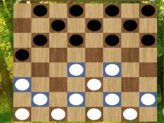 游戏Classic Checkers: Forest在线