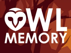 游戏Owl Memory在线