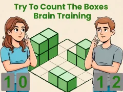 游戏Try To Count The Boxes Brain Training在线
