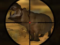 游戏Classical Hippo Hunting在线
