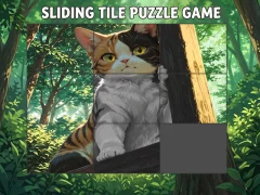 游戏Sliding Tile Puzzle Game在线
