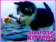 游戏Six Little Kittens在线