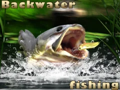 游戏Backwater Fishing在线