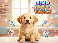 游戏Asmr Pet Treatment在线