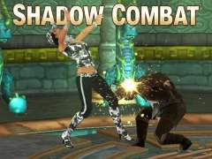 游戏Shadow Combat在线