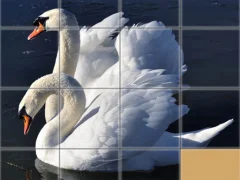 游戏Animals Slide Puzzle在线