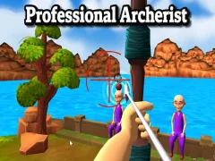游戏Professional Archerist在线