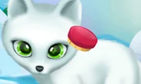 游戏Paws to Beauty Arctic Edition在线